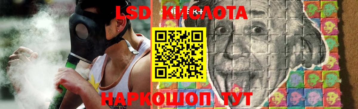 Новозыбков  ЛСД экстази ecstasy  Лсд 25 экстази  ЛСД экстази ecstasy  Вход с VPN 