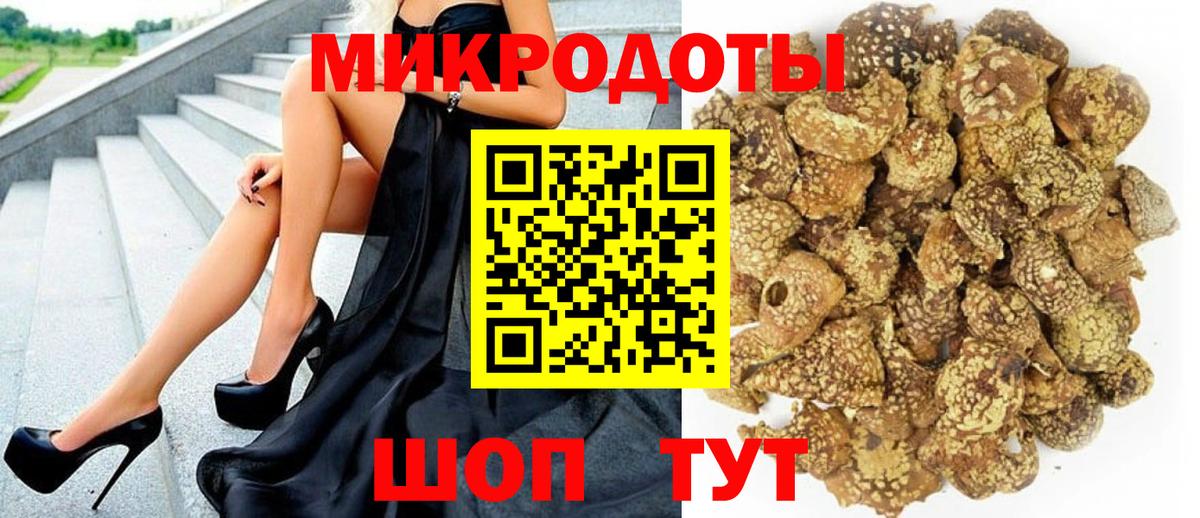 купить наркотик  Галлюциногенные грибы Cubensis  Вход с VPN  Новозыбков 