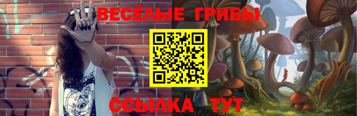 Псилоцибиновые грибы MAGIC MUSHROOMS Новозыбков