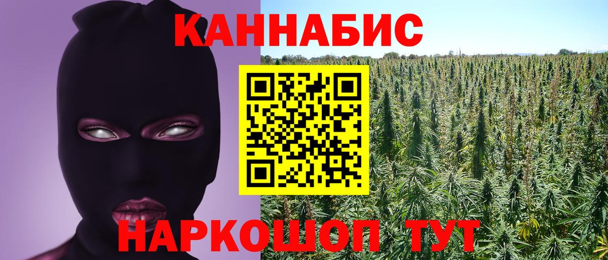 Бошки Шишки THC 21% Новозыбков